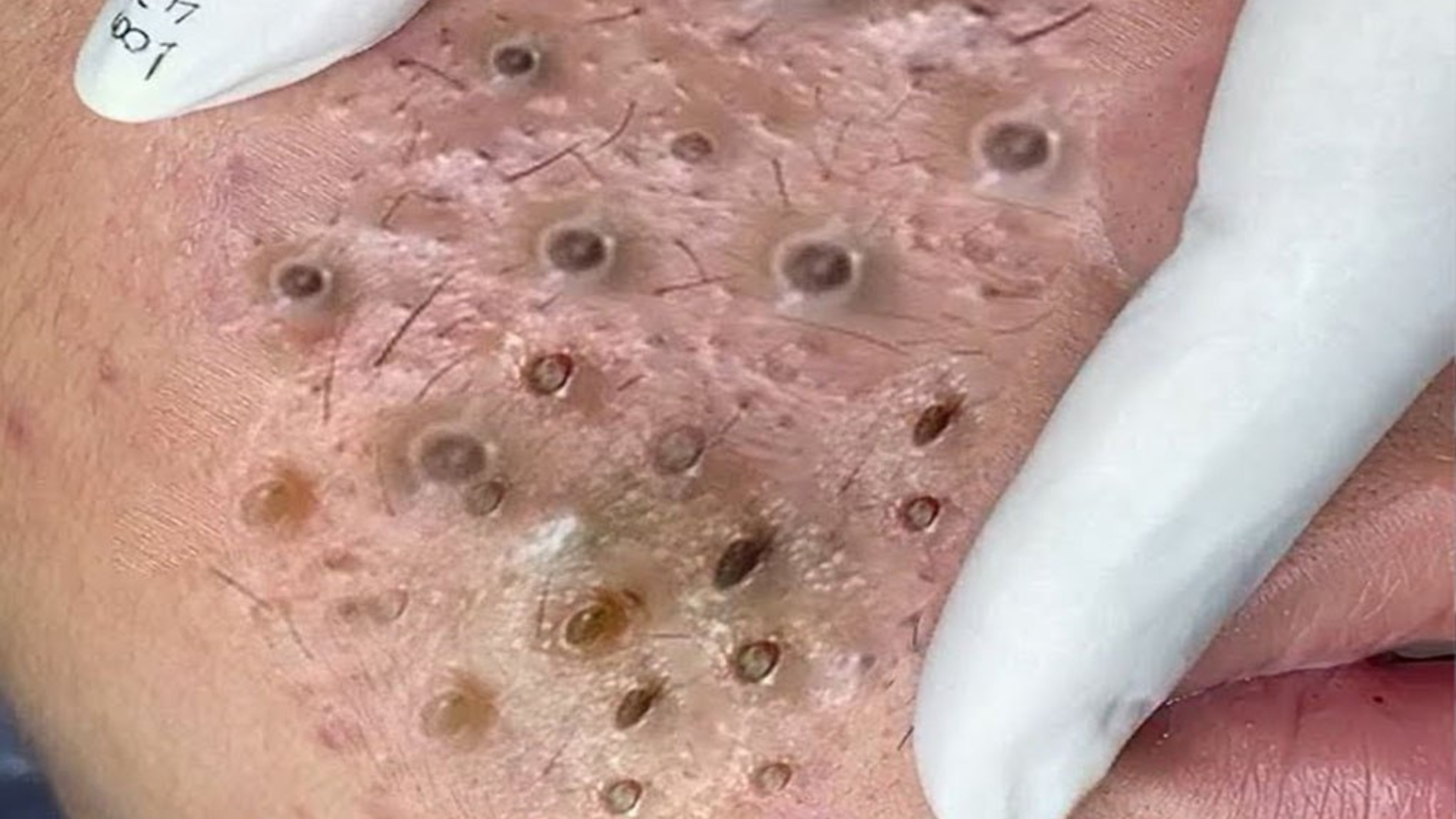 Encouraging Critical Thinking in Digital Classrooms