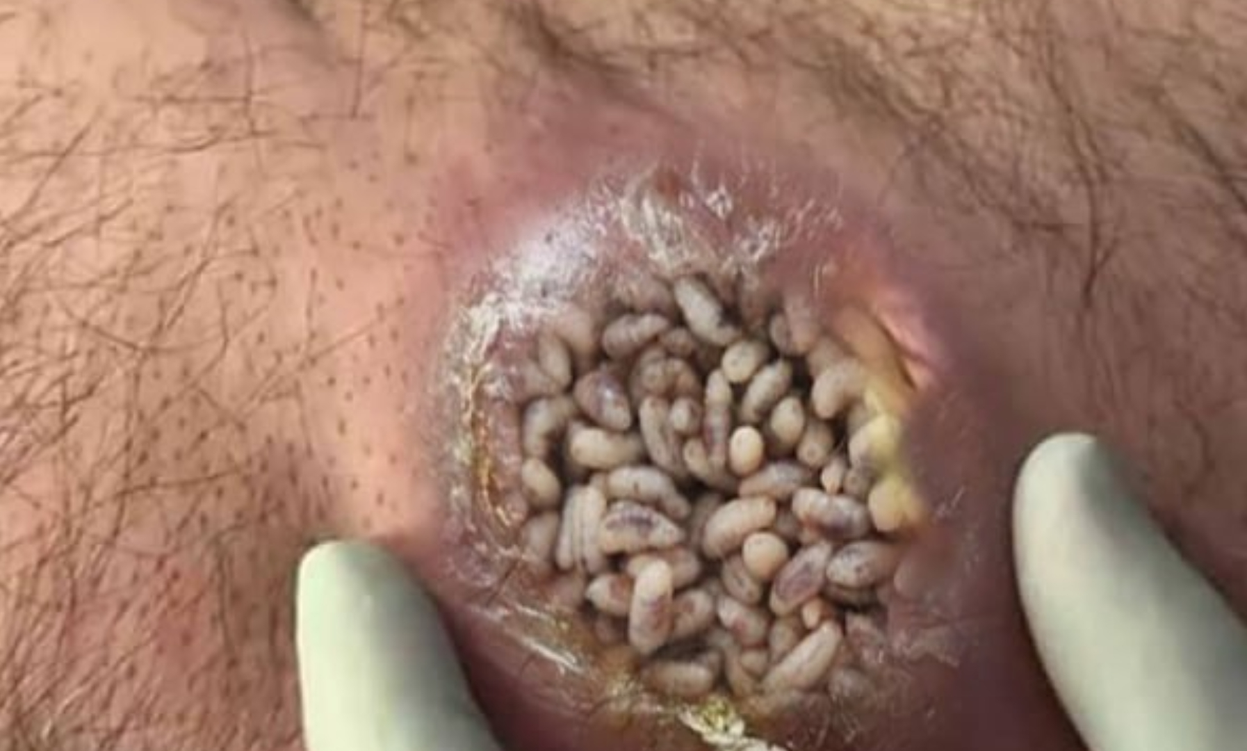 How to Use Educational Apps in Class